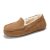 Chestnut